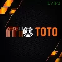 MIOTOTO dan evip2: Rangkuman Brand yang Banyak Dicari